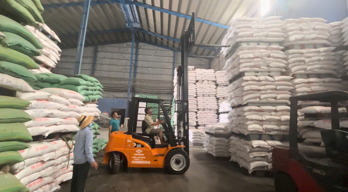 Xe Nâng Điện 3 Tấn Hangcha XE Series